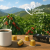 Italian Coffee Infinity Colombia – kapsułki Nespresso, 10 sztuk