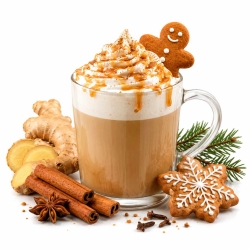 MONIN Gingerbread 1 L – korzenny syrop do kawy, latte i deserów