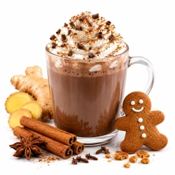 MONIN Gingerbread 1 L – korzenny syrop do kawy, latte i deserów