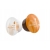BELMIO Carmel Macchiato  | system Dolce Gusto 16 szt.